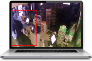 burglars caught on CCTV