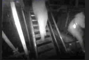 Trespassers on a construction site